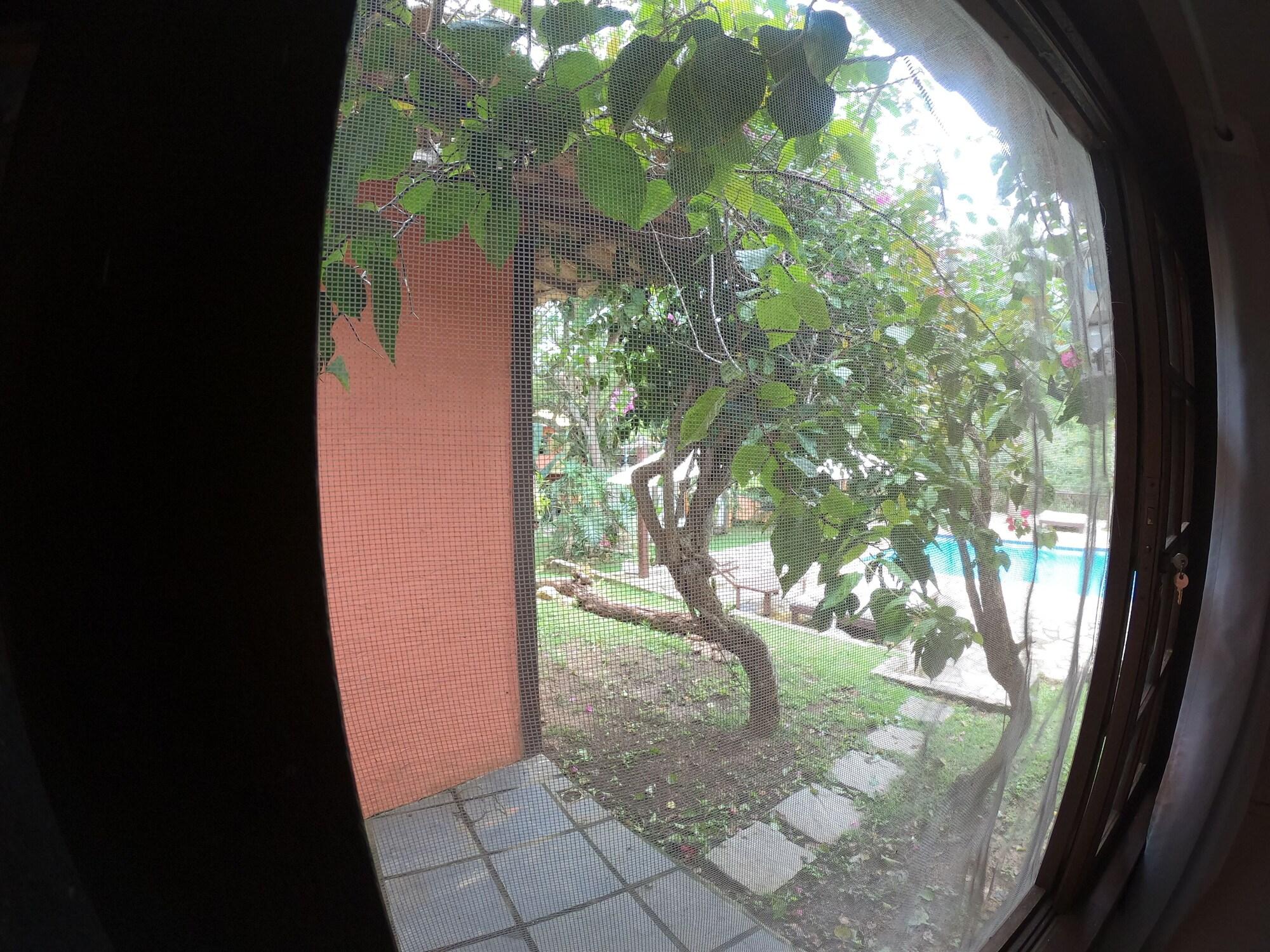 Pousada Casa Cactus Praia Da Tartaruga Buzios ภายนอก รูปภาพ